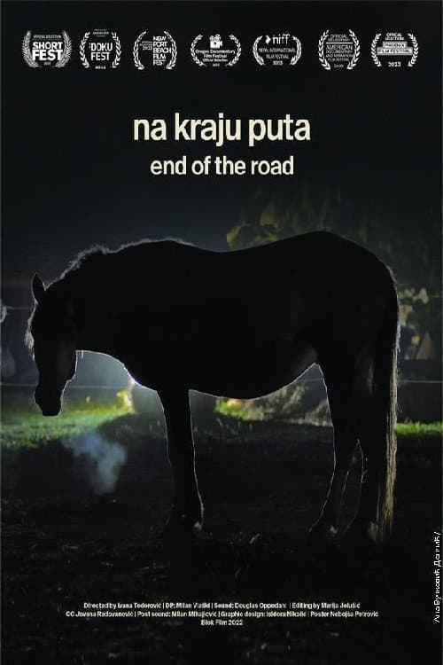 Na kraju puta (2023) poster