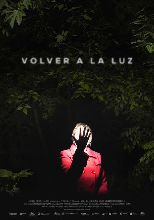 Volver a la luz (2024) poster