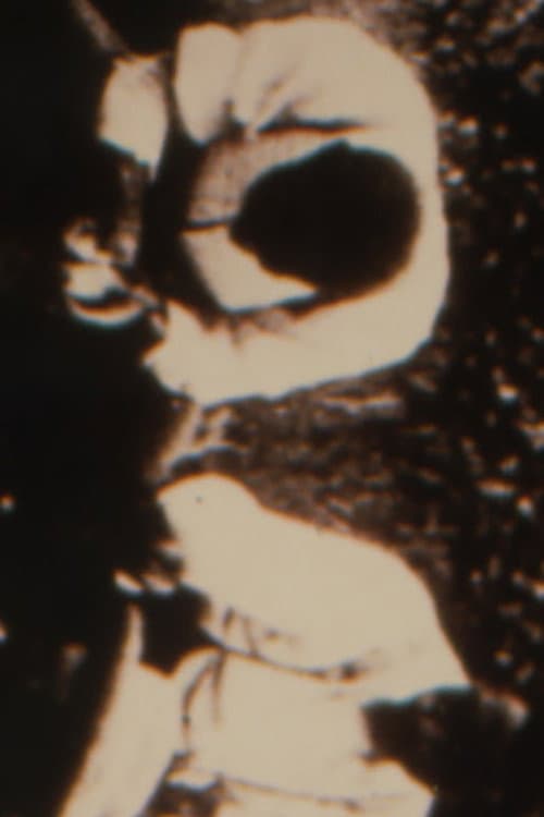 Looting For Rodney (1995) poster