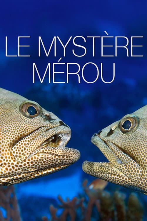 Le Mystère Mérou (2015) poster