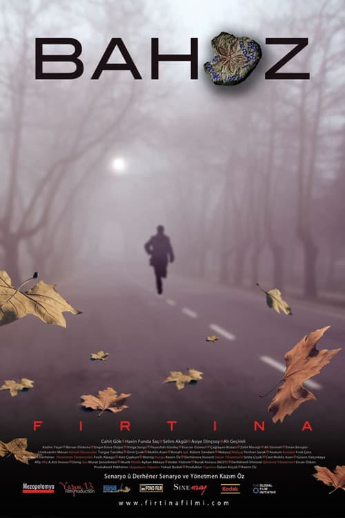 Bahoz (2008) poster