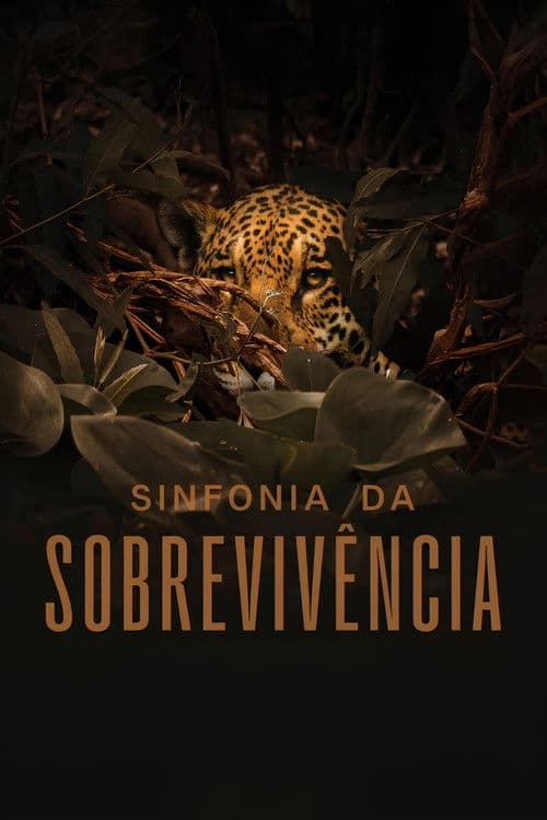 Sinfonia da Sobrevivência (2024) poster