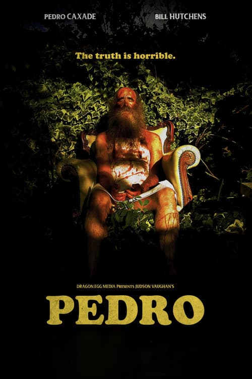 Pedro (2015) poster