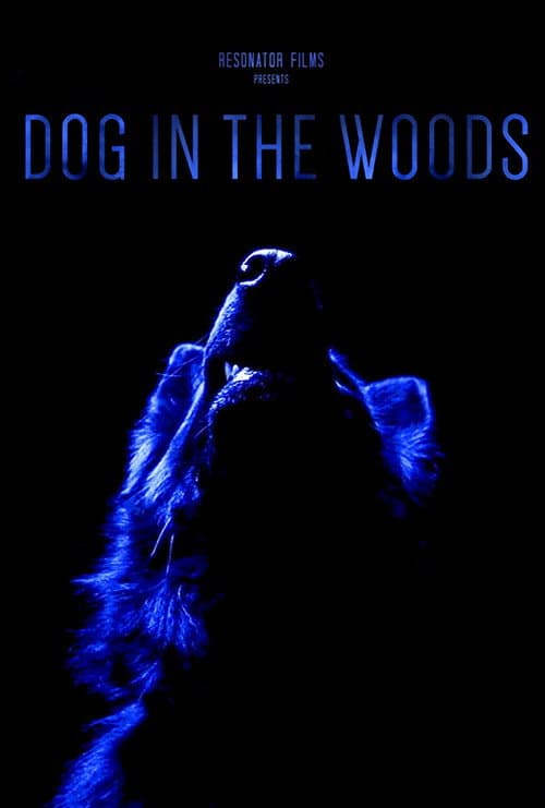Dog in the Woods (2019) poster