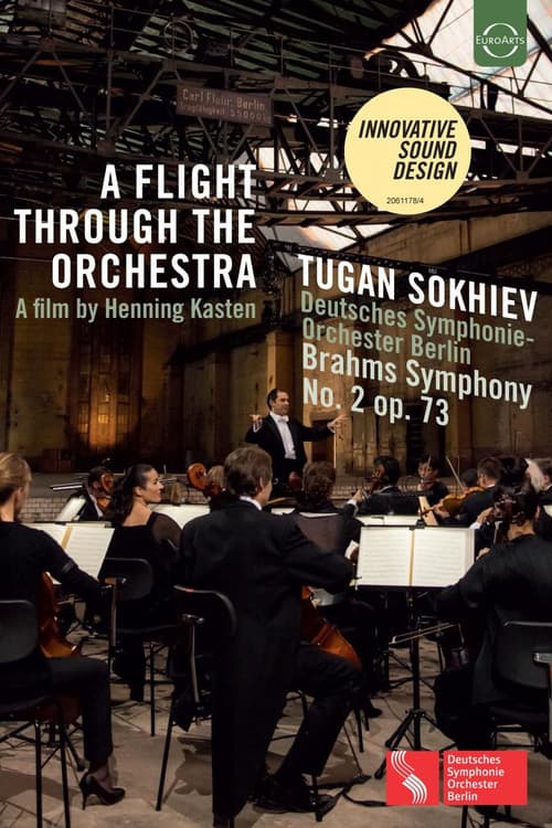 A Flight Through the Orchestra (2015) poster