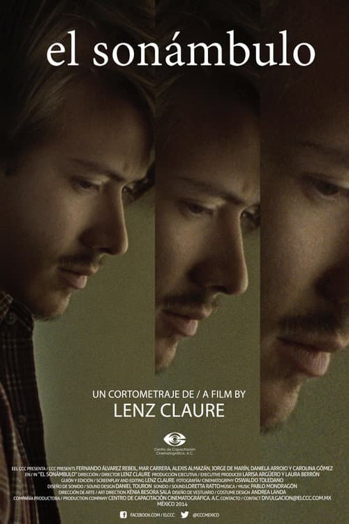 El sonámbulo (2014) poster