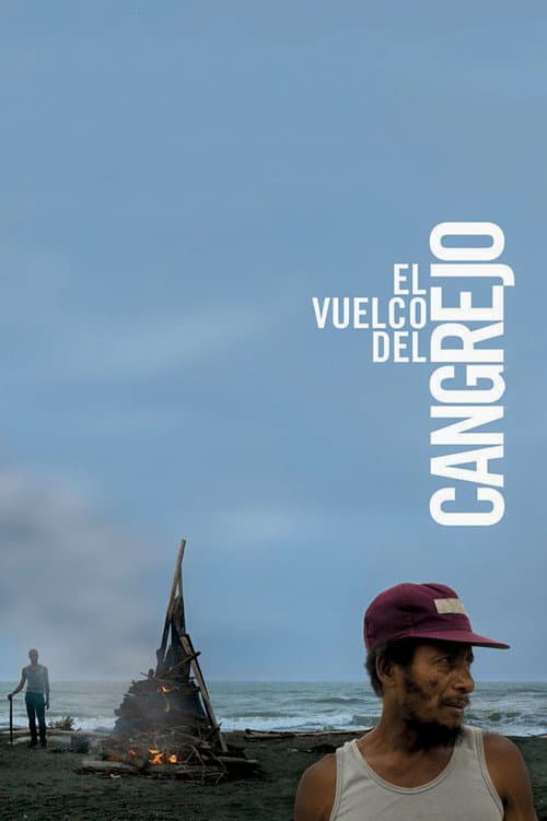 El vuelco del cangrejo (2009) poster