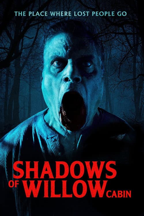 Shadows of Willow Cabin (2025) poster
