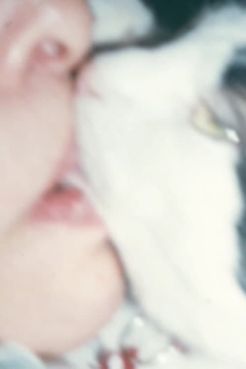 Mysteries of the Pussies (2010) poster