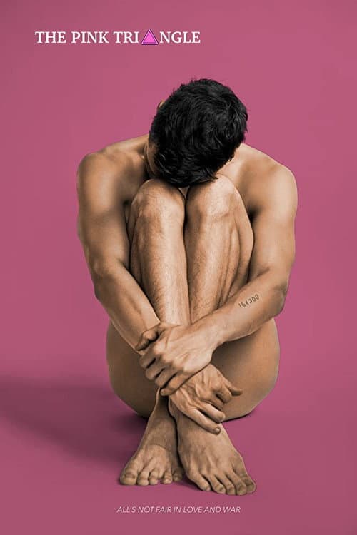 The Pink Triangle (2020) poster