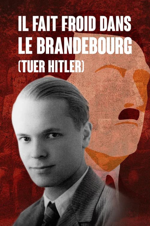 Es ist kalt in Brandenburg (Hitler töten) (1981) poster