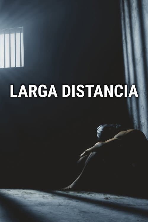 Larga distancia (1997) poster