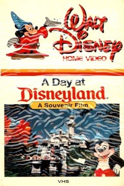 A Day at Disneyland 1991 (1991) poster
