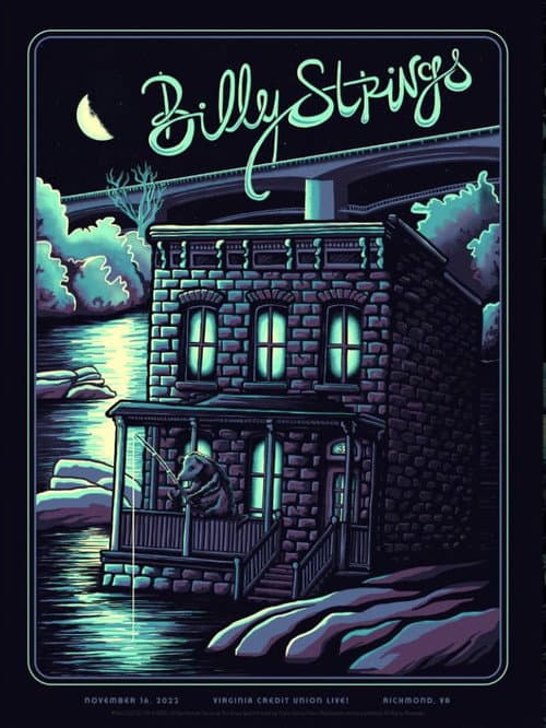BIlly Strings | 2022.11.16 — Virginia Credit Union - Richmond, VA (2022) poster