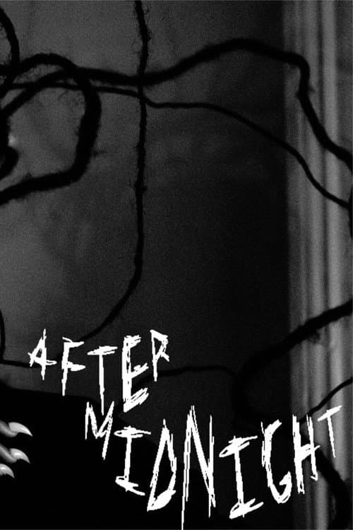 After Midnight (2026) poster