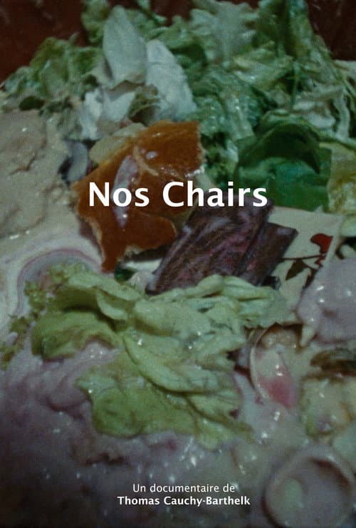 Nos chairs (2025) poster