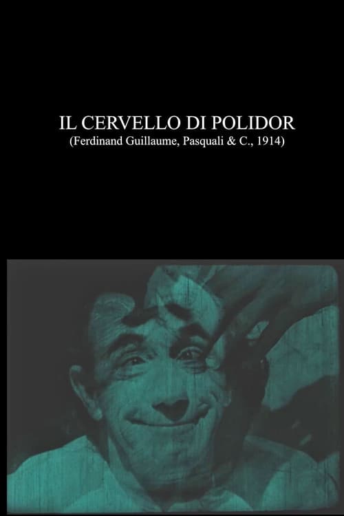 Il cervello di Polidor (1914) poster