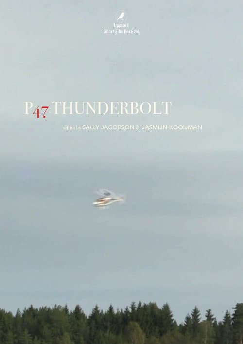 P47 Thunderbolt (2016) poster