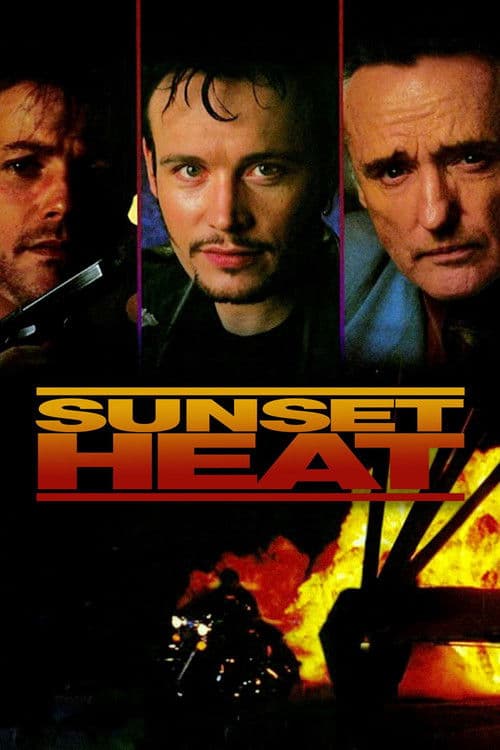 Midnight Heat (1992) poster