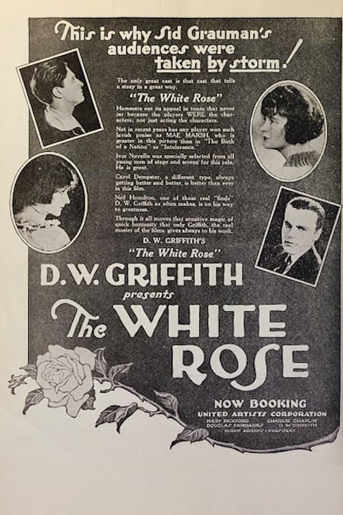 The White Rose (1923) poster