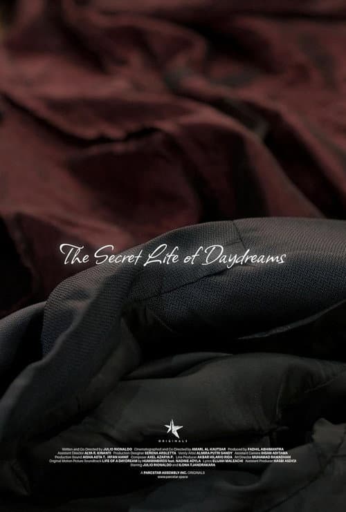 The Secret Life of Daydreams (2024) poster