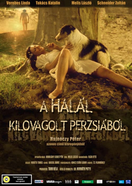 A halál kilovagolt Perzsiából (2004) poster