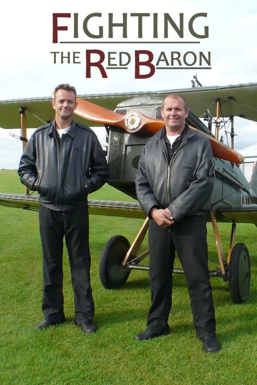 Fighting the Red Baron (2010) poster