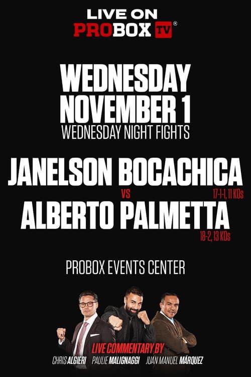 Janelson Bocachica vs. Alberto Palmetta (2023) poster