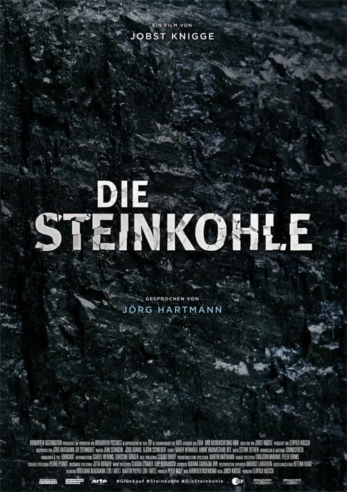 Die Steinkohle: II: Ende einer Ära (2018) poster