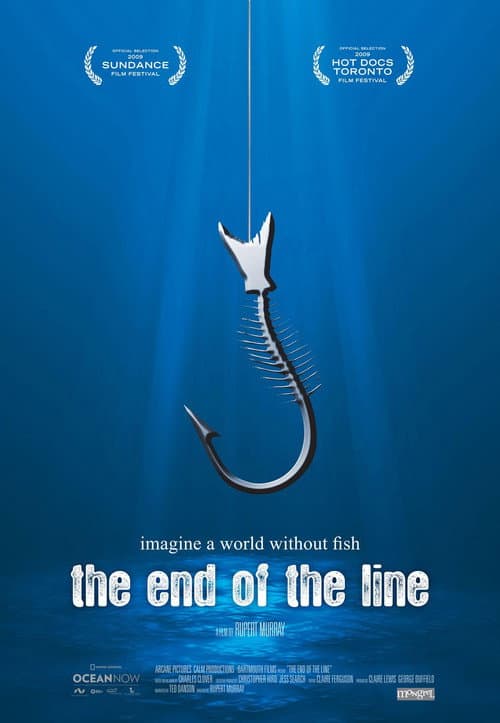 The End of the Line (2009) poster