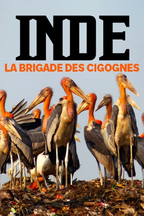 Inde, la brigade des cigognes (2022) poster