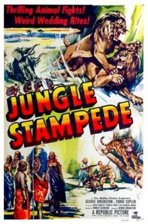 Jungle Stampede (1950) poster