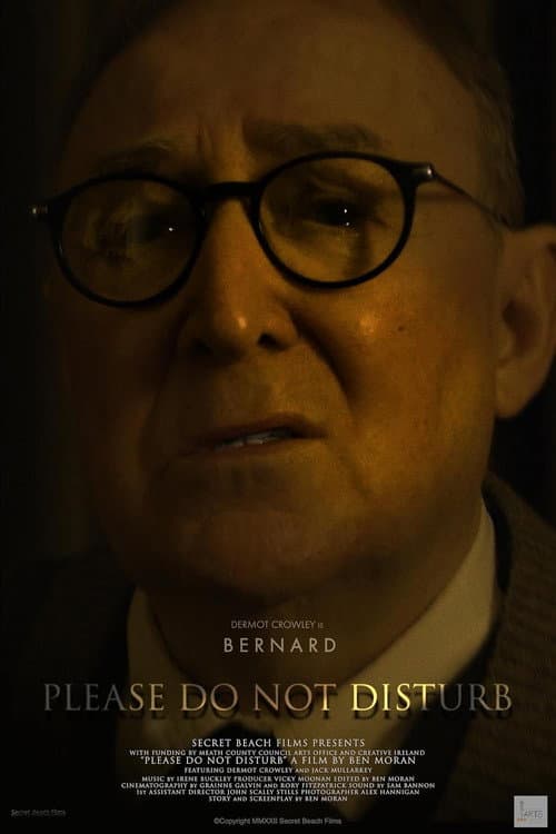 Please Do Not Disturb (2023) poster