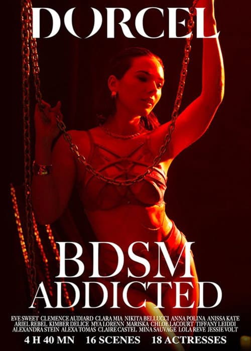 BDSM Addicted (2026) poster