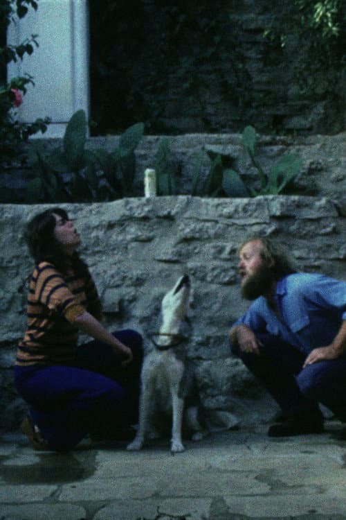 Sleeping Dogs (Never Lie) (1978) poster