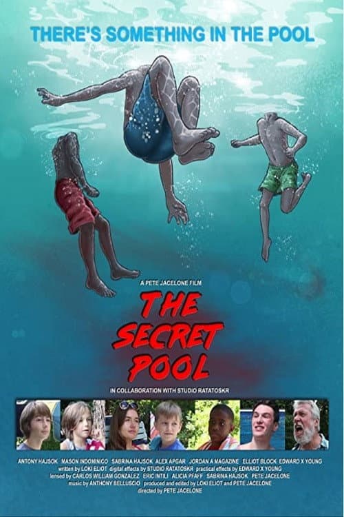 The Secret Pool (2021) poster