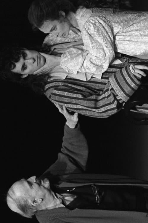 Männen och Bergman (2008) poster