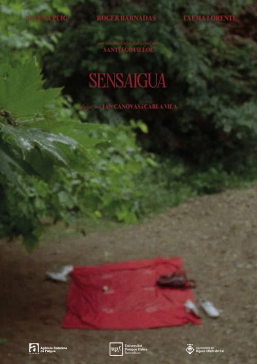 Sensaigua (2026) poster