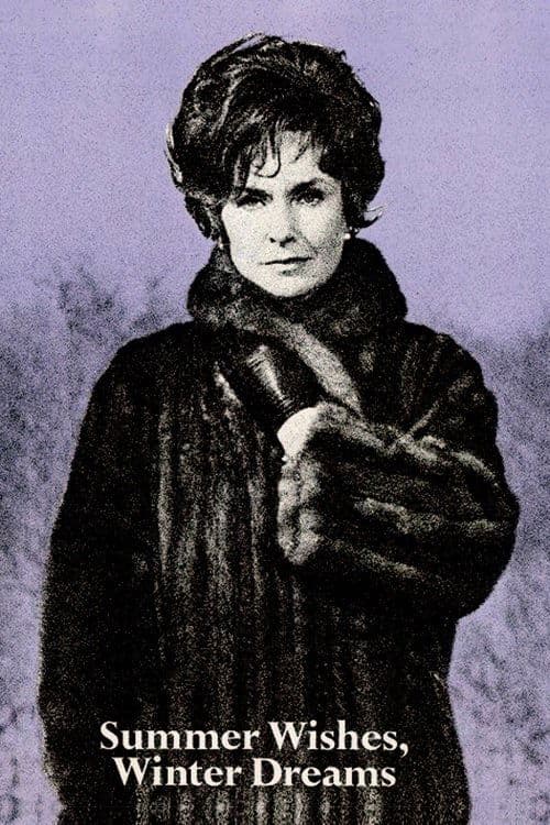 Summer Wishes, Winter Dreams (1973) poster