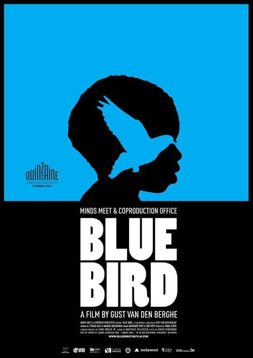 Blue Bird (2011) poster
