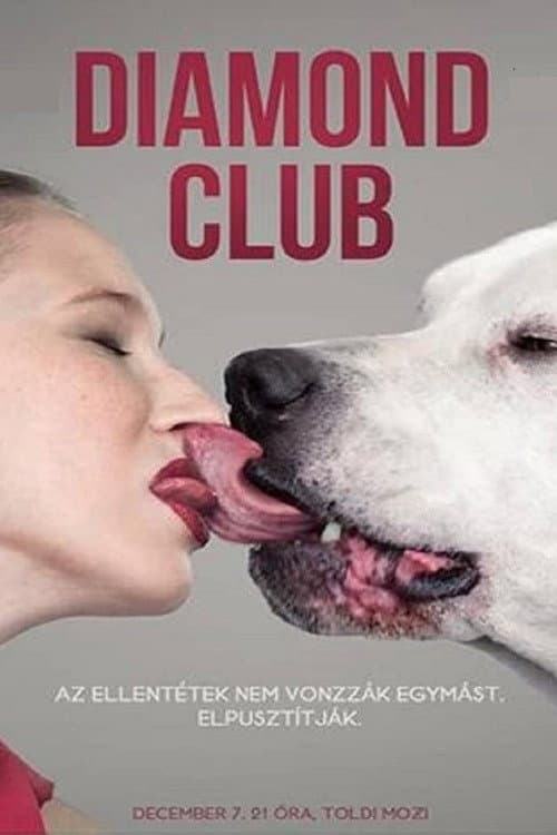 Diamond Club (2011) poster