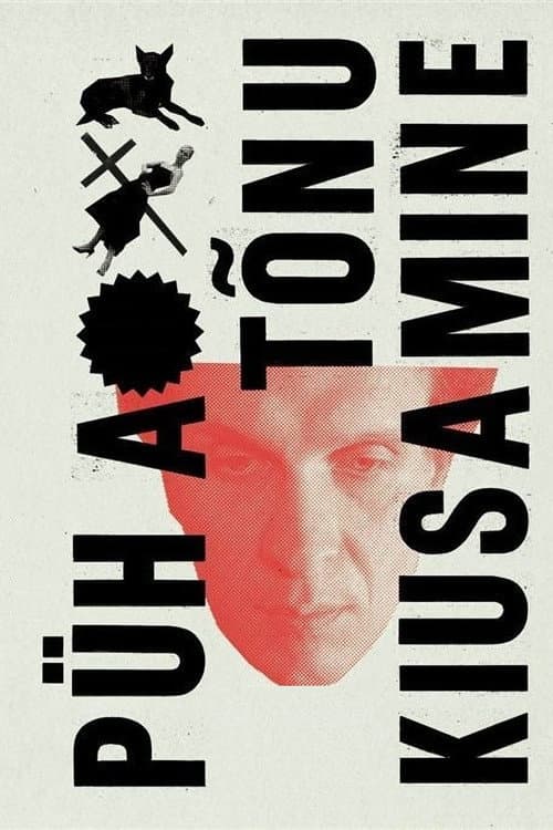 Püha Tõnu kiusamine (2009) poster