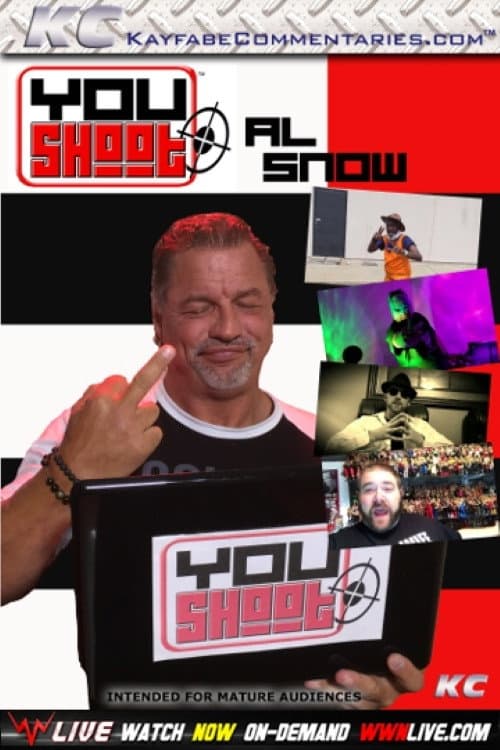 YouShoot: Al Snow (2017) poster