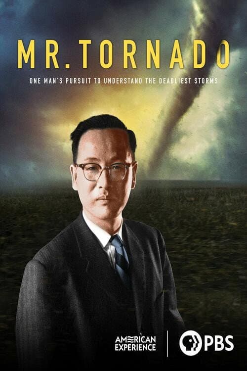 Mr. Tornado (2020) poster