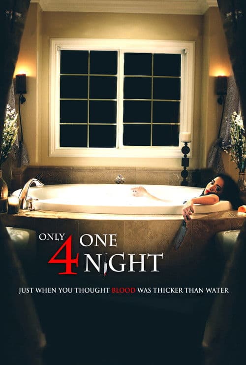 Only for One Night (2016) poster