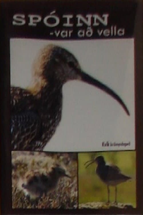 Spóinn var að vella (2007) poster
