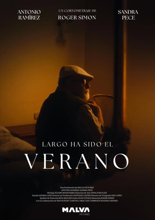 Largo ha sido el Verano (2024) poster