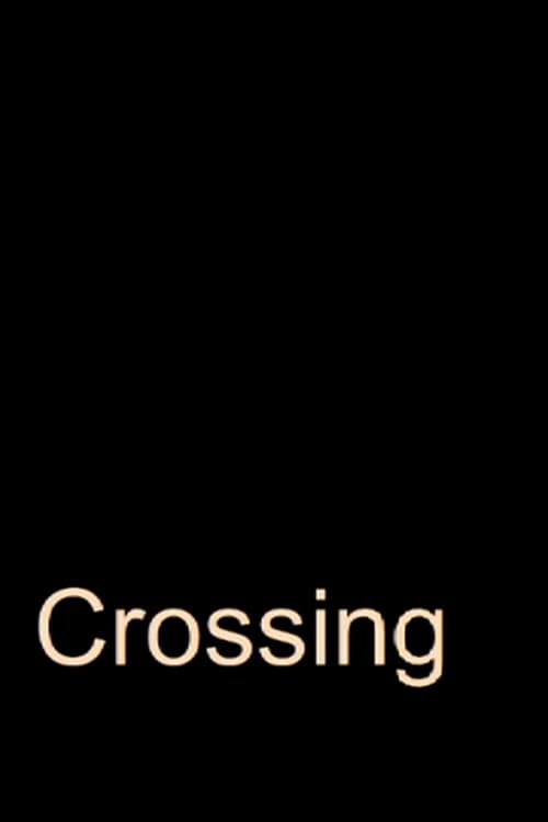 Crossing (2009) poster