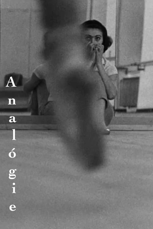 Analógie (1965) poster