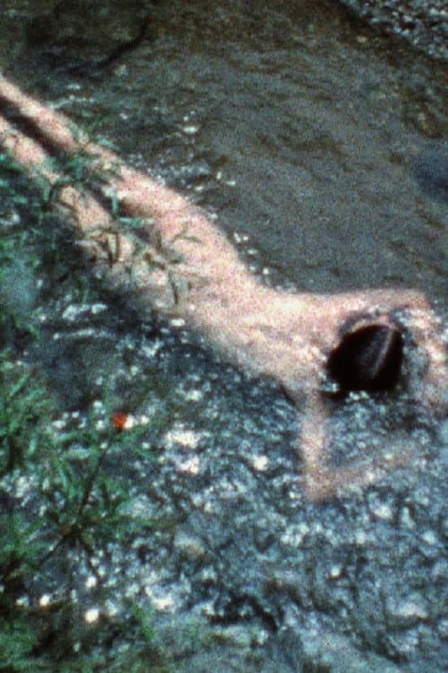 Creek (1974) poster